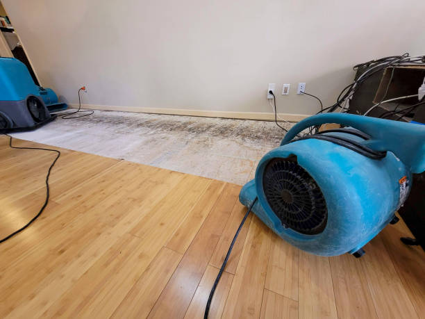 Reliable Crawl Space Water Removal contractor in Clifton, NJ by Hirex Water Damage