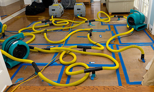 Professional Crawl Space Water Removal technician working in Clifton, NJ